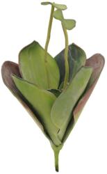 EUROPALMS Water Lily (EVA), artificial plant, closed, green, 45cm (82530575)