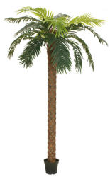 EUROPALMS Phoenix palm deluxe, artificial plant, 250cm (82509724)