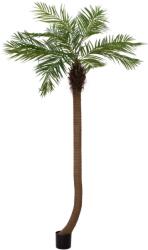 EUROPALMS Phoenix palm tree luxor curved, artificial plant, 240cm (82510726)