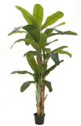 EUROPALMS Banana tree, artificial plant, 240cm (82509541)