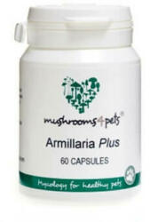 Mushrooms4Pets Armillaria Plus (500 mg) 60 db