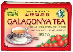 Dr. Chen Patika Galagonya Tea - 20filter - biobolt