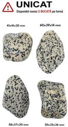Palm Stone Jasp Dalmatian Natural - 44-50 x 37-41 x 19-30 mm - (XXL) - 1 Buc