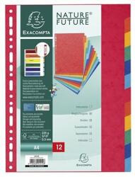 Exacompta A4 12 részes karton színes elválasztólap (P2220-0140) (P2220-0140) - firstshop