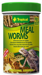 Tropical Meal worms 250ml/30g