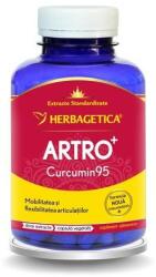 Herbagetica Supliment Alimentar HERBAGETICA Artro+ Curcumin 95 120 Capsule