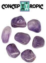  Ametist Rulat Natural - 26-38 x 17-23 mm - ( XL ) - 1 Buc