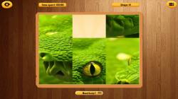 White Rabbit Games Our Wonderful World (PC)