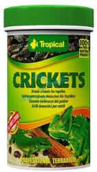 Tropical Crickets 100ml/10g szárított tücskök hüllőknek - INVITALpet