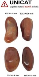 Palm Stone Carneol Natural - 53-65 x 29-36 x 17-26 mm - (XXL) - 1 Buc