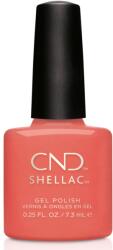CND Shellac - Desert Poppy 7, 3ml