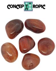 Carneol Rulat Natural - 35-41 x 23-34 mm - ( XL ) - 1 Buc