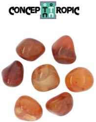  Carneol Rulat Natural - 18-26 x 17-23 mm - ( M ) - 1 Buc