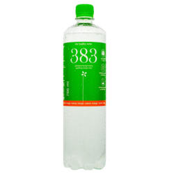 383 The Kopjary Water Szénsavas ásványvíz mangó-menta 0,766l