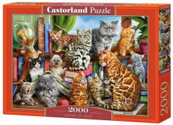 Castorland Пъзел Castorland от 2000 части - Къщата на котките, Марчело Корти (C-200726-2)