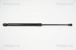 TRISCAN Amortizor portbagaj TRISCAN 8710 29281 (8710 29281) - automobilus