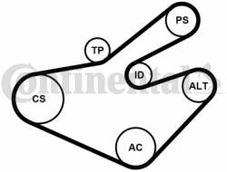 Continental Ctam Set curea transmisie cu caneluri CONTINENTAL CTAM 7PK1795K1 (7PK1795K1) - automobilus