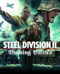 Eugen Systems Steel Division II Burning Baltics DLC (PC)