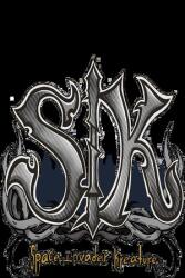 Brisia Fabiola Aguirre Ponce de Leon SIK Space Invader Kreature (PC)