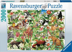 Ravensburger Puzzle Harta Lumii, 2000 Piese - Ravensburger (rvspa16825)
