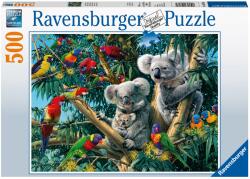 Ravensburger Puzzle Koala In Copac, 500 Piese - Ravensburger (rvspa14826) Puzzle