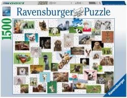 Ravensburger Puzzle Colaj Cu Animale, 1500 Piese - Ravensburger (spa16711)