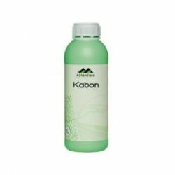 Atlantica Insecticid natural Atlantica Kabon, 1 litru