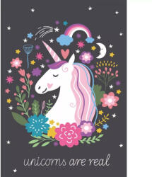 Unikornis Are Real polár takaró 100x140cm (BRM007048)