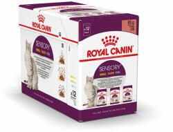 Royal Canin Royal Canin Pachet de testare Sensory Smell Taste Feel în sos - 12 x 85 g