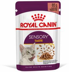 Royal Canin Royal Canin Sensory Taste în sos - 24 x 85 g