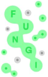 Nonline Studios FUNGI (PC)
