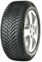Falken EUROWINTER HS01 RFT 225/50 R17 94V