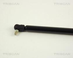TRISCAN Amortizor portbagaj TRISCAN 8710 66207 (8710 66207) - automobilus