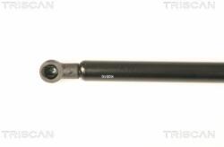 TRISCAN Amortizor, luneta TRISCAN 8710 25247 (8710 25247) - automobilus