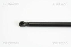 TRISCAN Amortizor portbagaj TRISCAN 8710 13267 (8710 13267) - automobilus