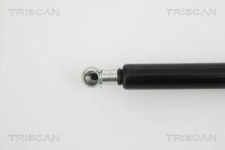 TRISCAN Amortizor portbagaj TRISCAN 8710 25222 (8710 25222) - automobilus