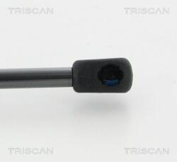 TRISCAN Amortizor portbagaj TRISCAN 8710 24231 (8710 24231) - automobilus