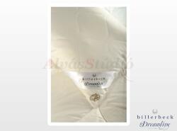 Billerbeck Dreamy Cool nagypárna - matracasz