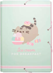 PUSHEEN Foodie Collection A4 (ERK-CSG0081)