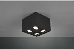TRIO BISCUIT 613000432