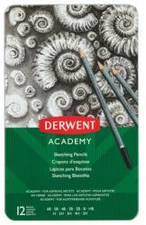 Derwent Set 12 creioane Grafit 6B-5H Derwent Academy calitate superioara pentru artisti aspiranti cutie metalica (DW2301946)