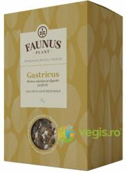 Faunus Plant Ceai Gastricus (Stomac Sanatos si Digestie Perfecta) 90g