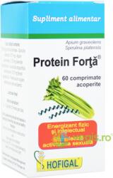 Hofigal Protein Forta 60cpr