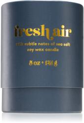 Paddywax Petite Fresh Air lumânare parfumată 141 g