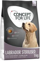 Concept for Life Concept for Life Labrador Sterilised - 2 x 12 kg