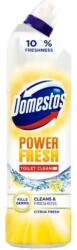 Unilever Mo. Kft Domestos Power Fresh Wc Gel 700ml