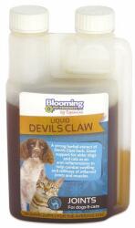  Bp Devil'S Claw Herbal Extract 250 Ml