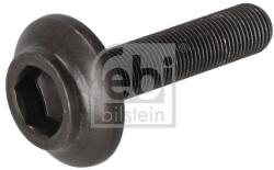 Febi Bilstein Surub FEBI BILSTEIN 31324 (31324)