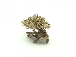 INVITAL Bonsai Driftwood 20 x 15 x 16 cm No. 10