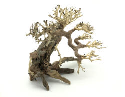 INVITAL Bonsai Driftwood 25 x 20 x 23 cm No. 82